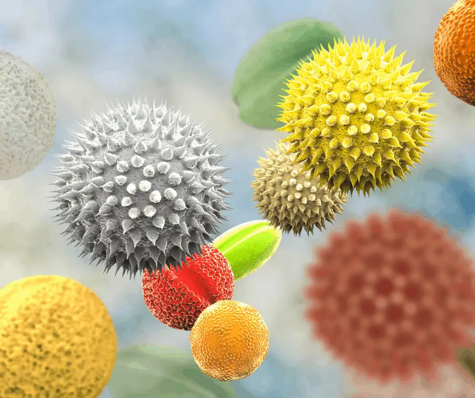 Allergens